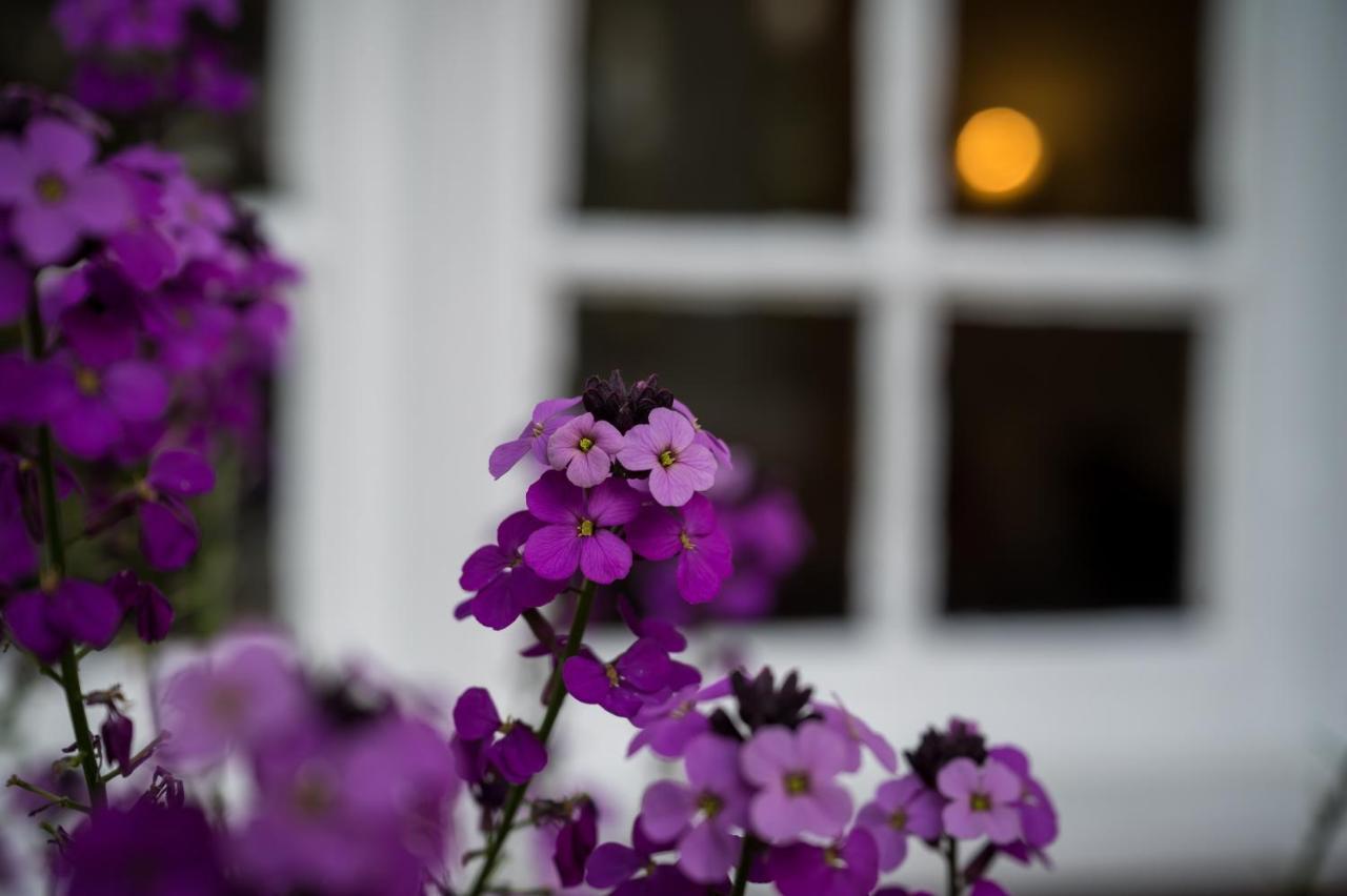 Findon Manor Hotel Exteriér fotografie